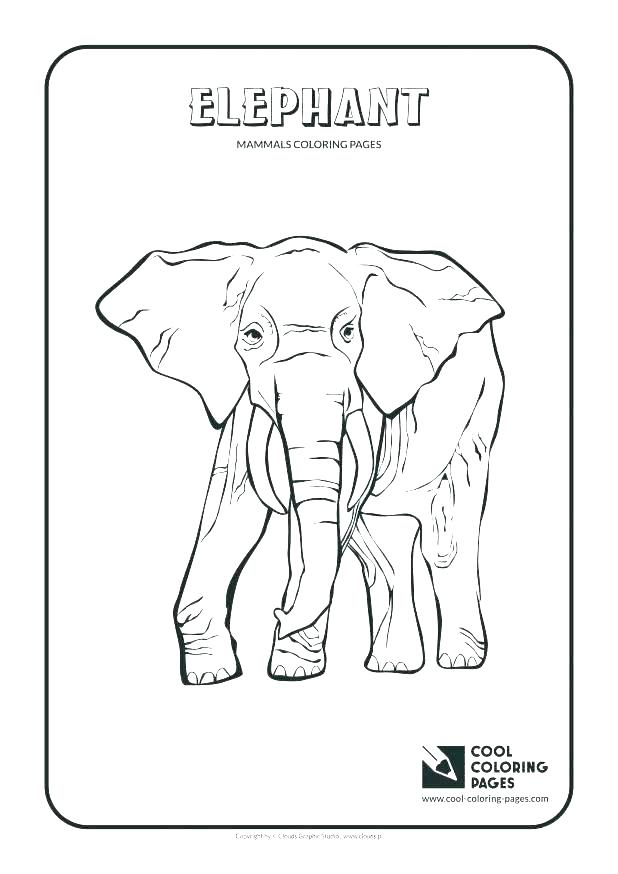 618x874 Reptile Coloring Page Reptiles Coloring Pages Ideas Reptile