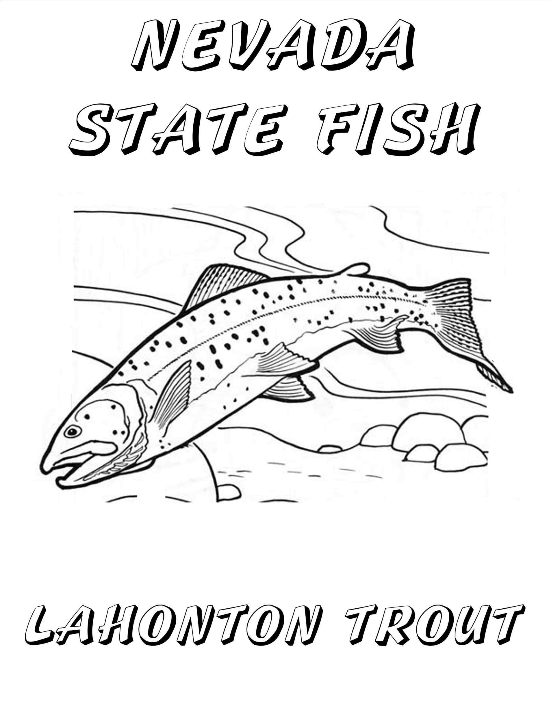 1900x2458 Cutthroat Trout Coloring Pages Online Coloring Printable