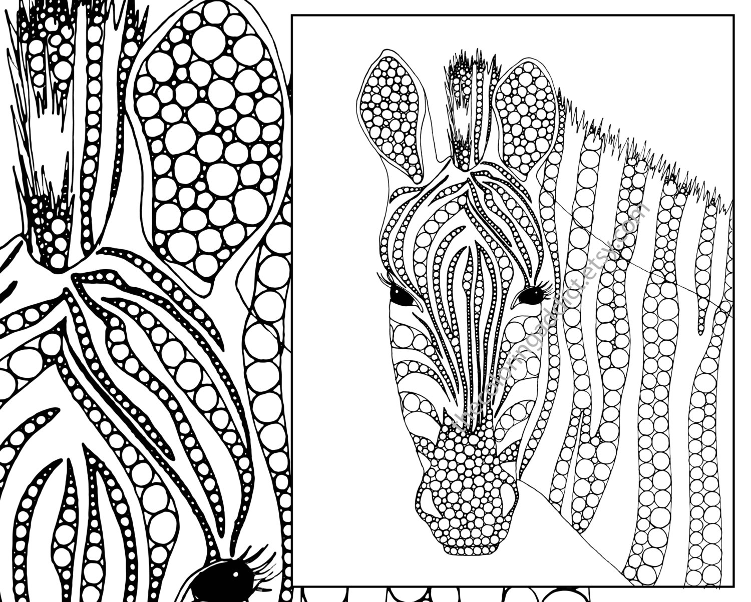 1500x1203 Zebra Adult Coloring Pages Printable Coloring For Kids 2018