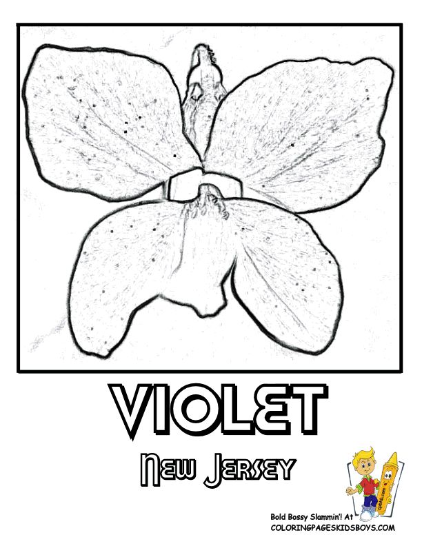 New Jersey Coloring Page