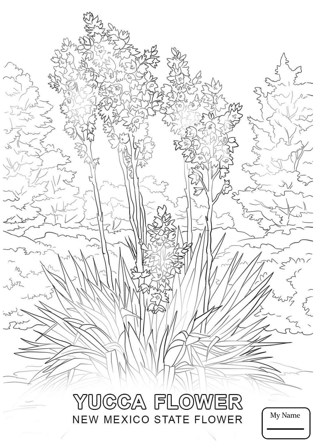 New Mexico Coloring Pages