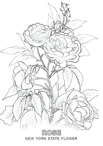 340x480 New York Coloring Pages Medium Size Of New Coloring Pages Free