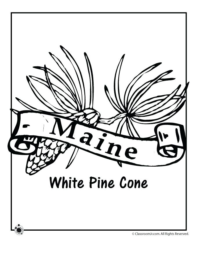 680x880 New York State Flag Coloring Page Click To See Printable Version
