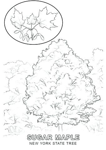 340x480 New York Coloring Pages As Well As New Coloring Pages New Coloring