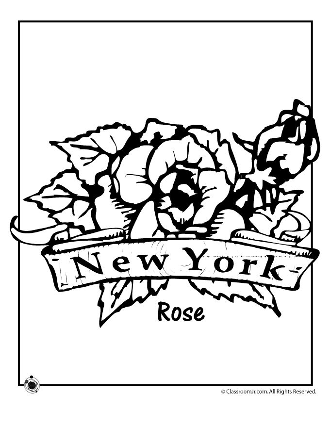 680x880 New York Flower Drawing