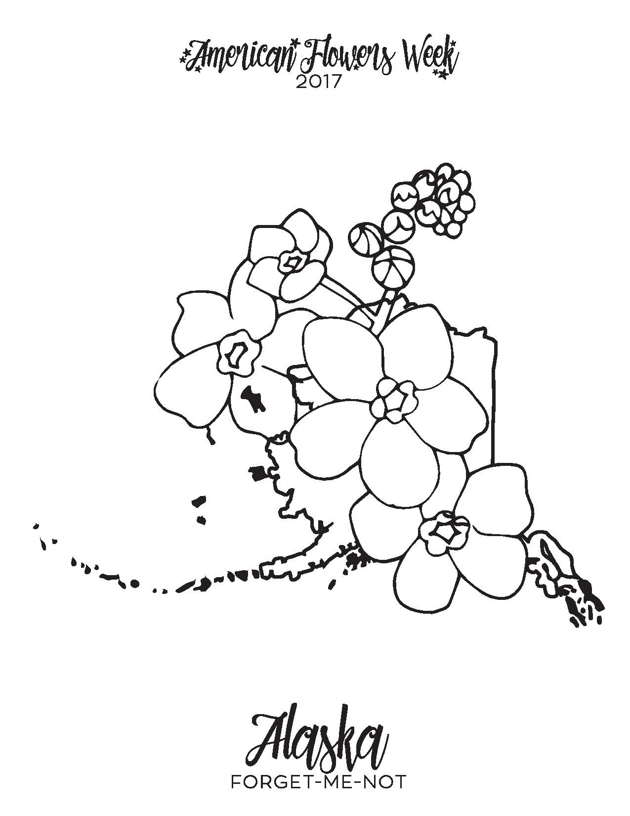 1275x1650 Alaska State Flag Coloring Page Fresh New York State Flag Coloring