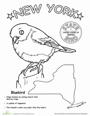 New York State Flag Coloring Page