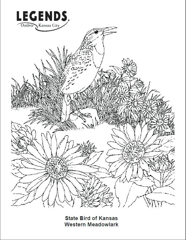 626x807 New York State Flag Coloring Page Western Meadowlark Coloring