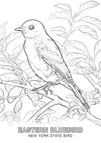 340x480 New York State Map Coloring Page Flag Color