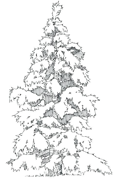 506x750 New York State Flag Coloring Page Shippa.co