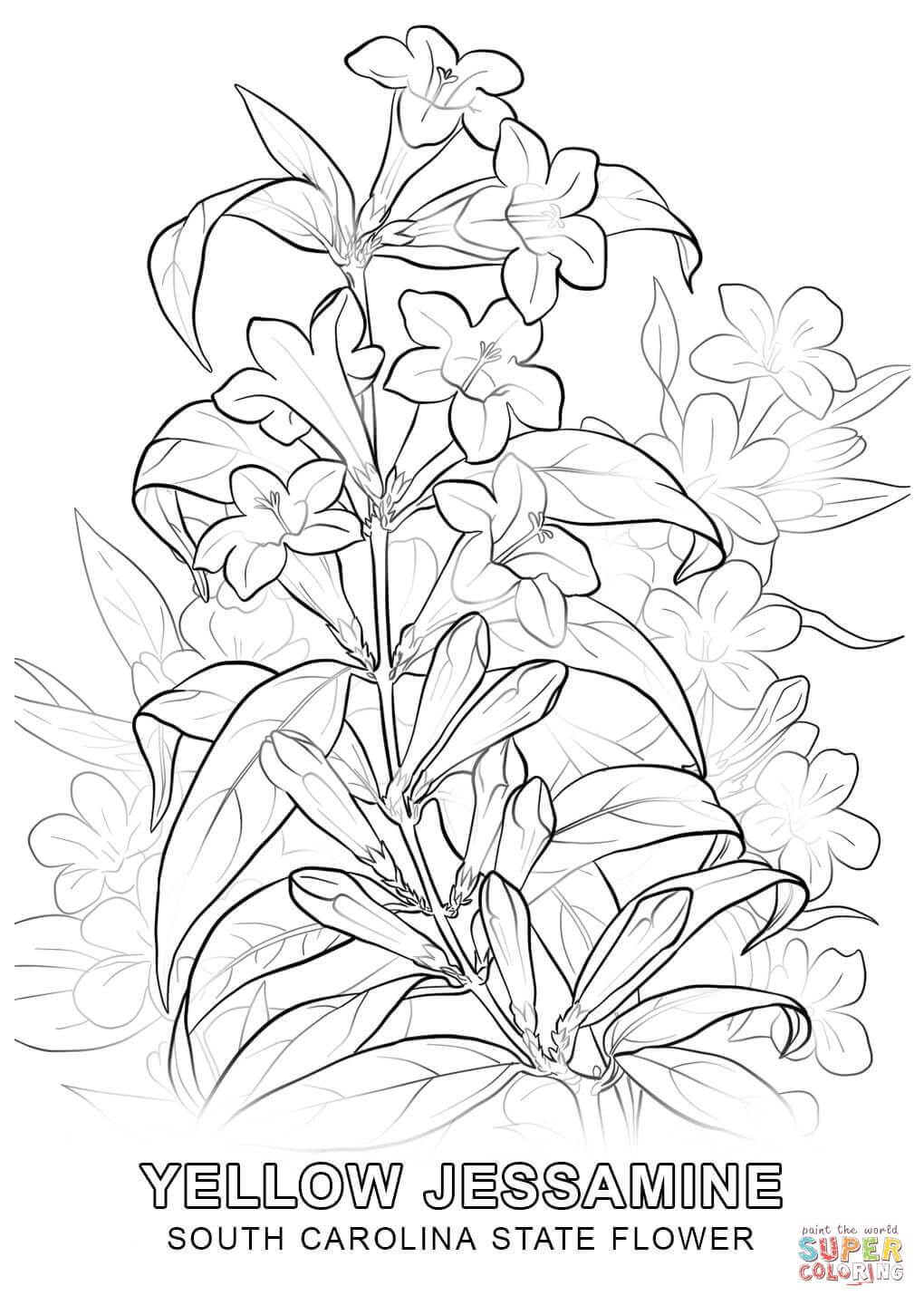 1020x1440 Inspiring New York State Flag Coloring Page Book Covers Image