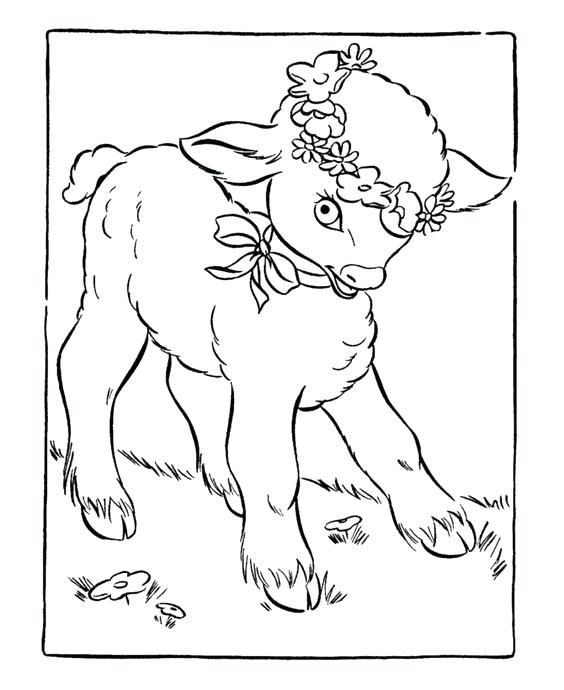 564x690 New Zealand Coloring Pages Lamb Coloring Page New New Zealand