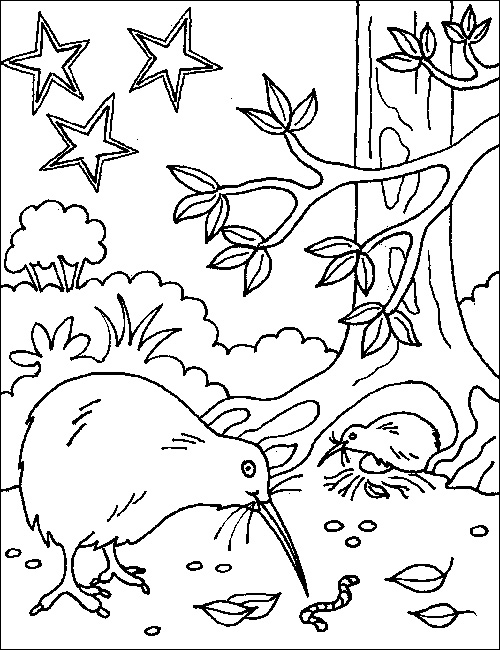 500x650 Aotearoa Nz Map Colouring Page
