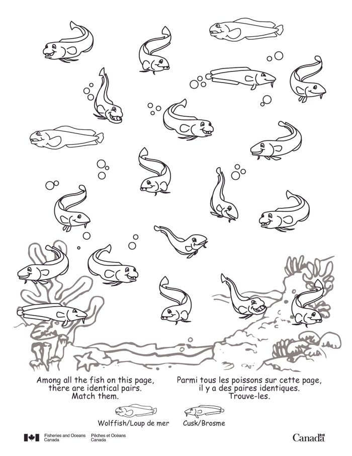 700x906 Ecosystem Coloring Pages 483978
