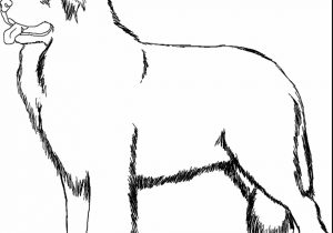 300x210 Free Printable Coloring Pages Printables Free With Dog