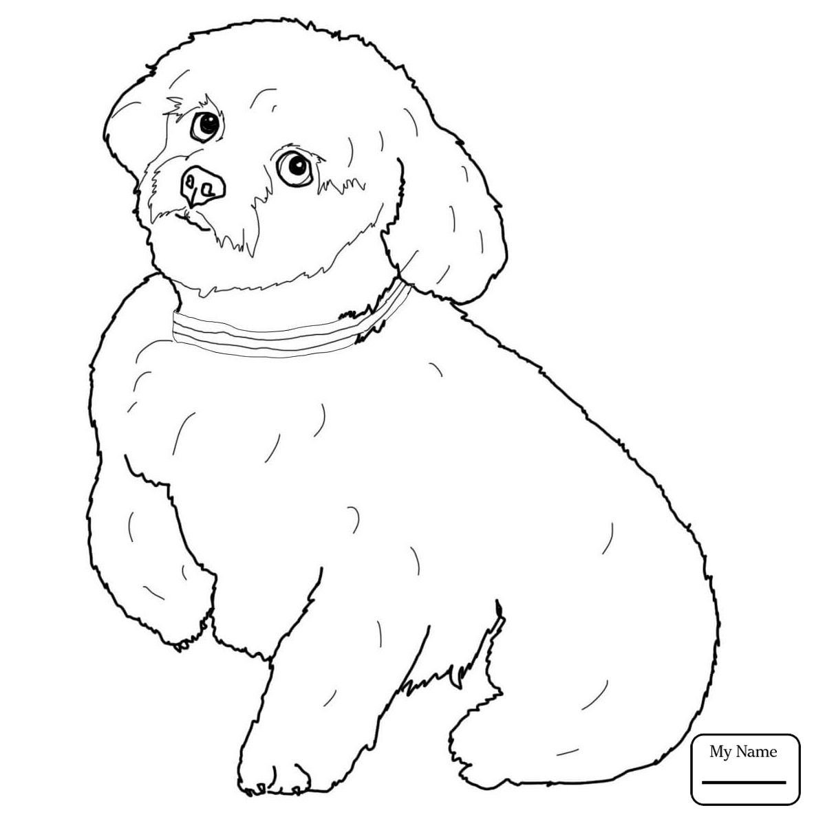 1183x1191 German Shepherd Coloring Pages To Print Unique English Shepherd