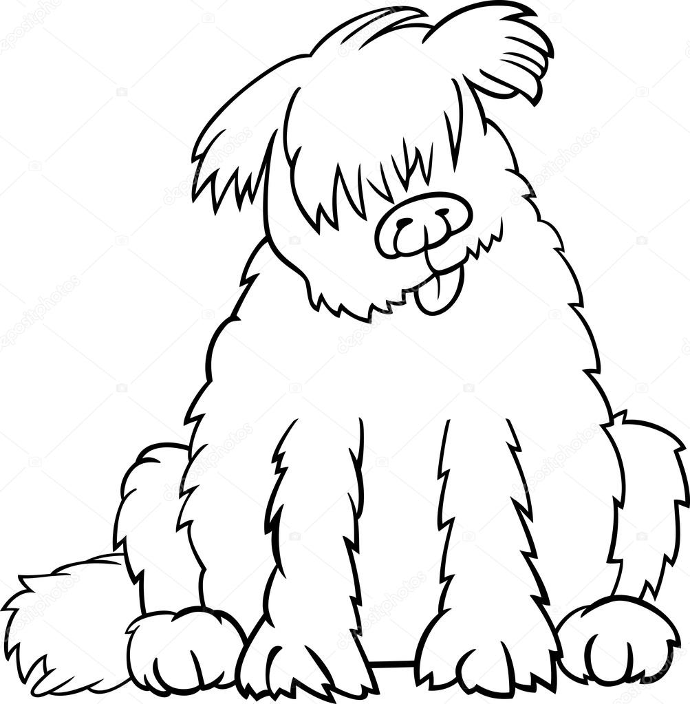 1003x1023 Newfoundland Coloring Book