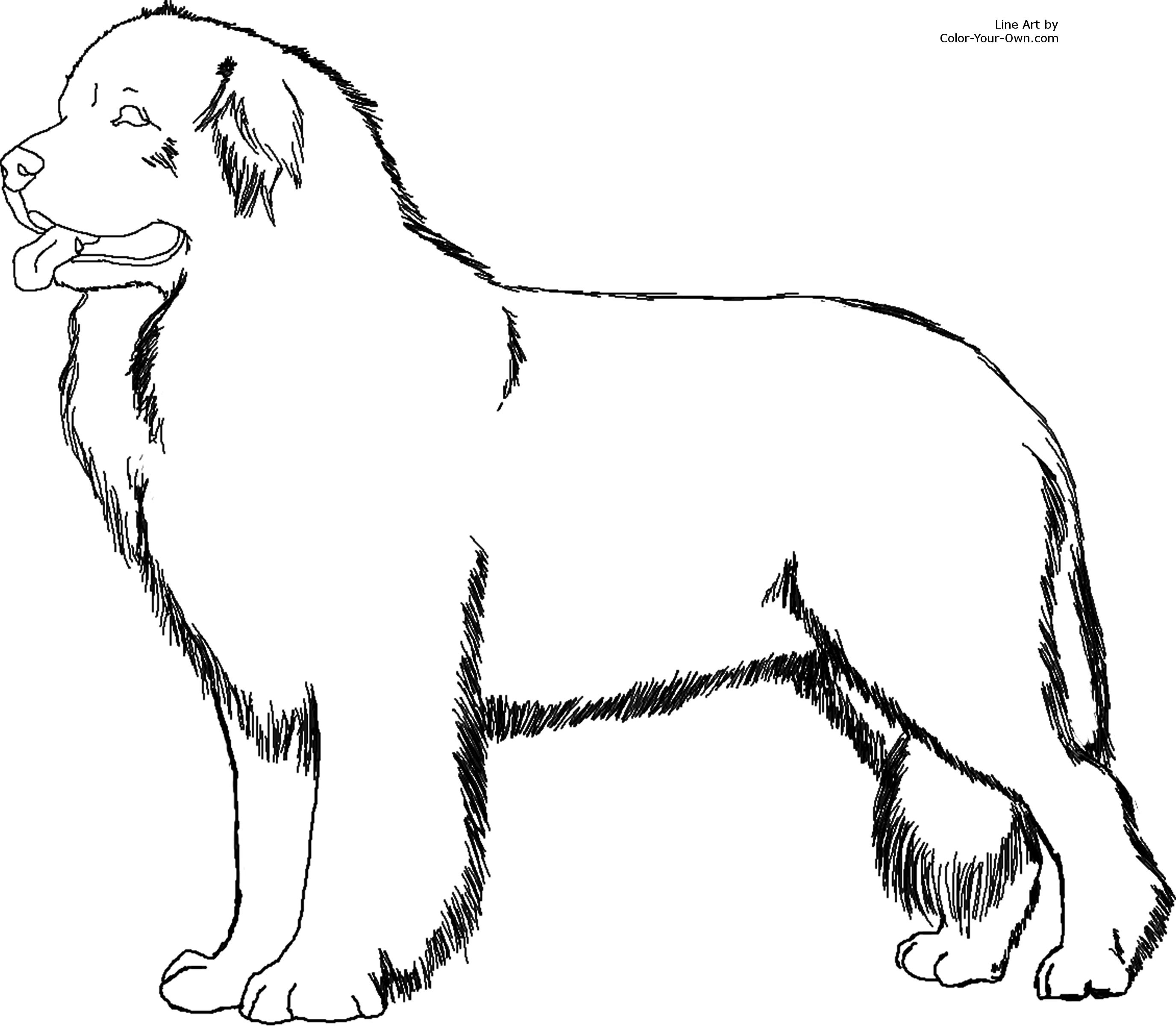 2751x2400 Newfoundland Dog Coloring Page Pertaining To Dog Coloring Book