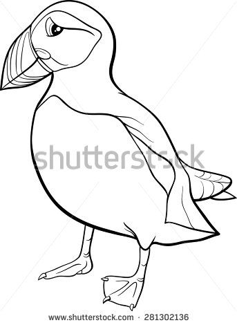343x470 Black And White Cartoon Vector Illustration Of Atlantic Puffin