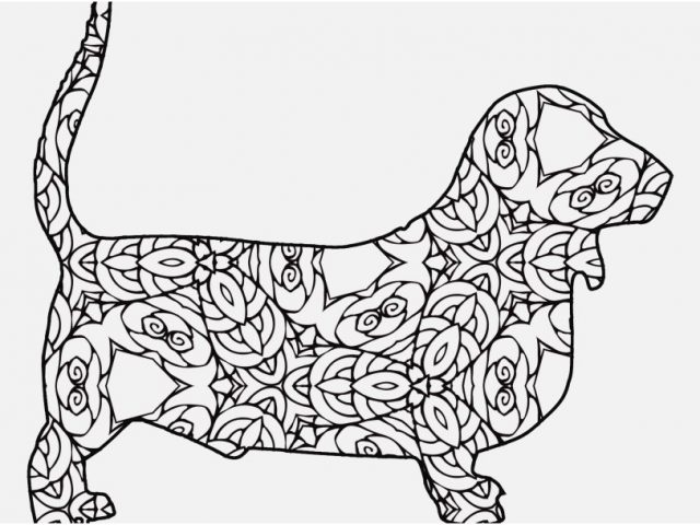 640x480 Pitbull Coloring Pages Photo 30 Free Coloring Pages A Geometric