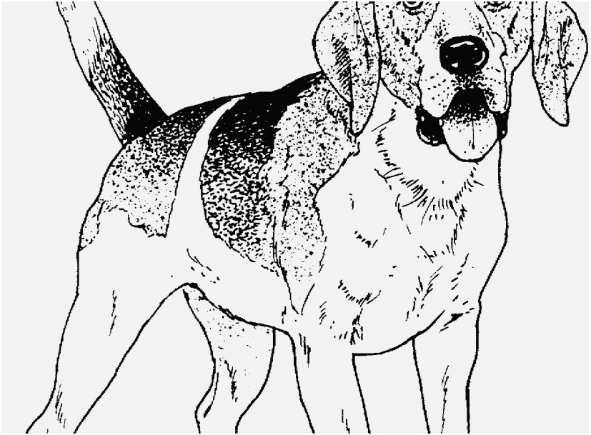 827x609 The Best Concept Coloring Pages Of Dogs Delightful