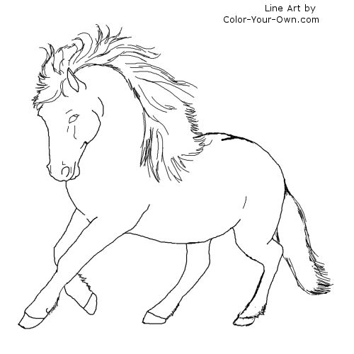 500x500 Coloring Pages Newfoundland Dog Newfoundland Pony Line Art