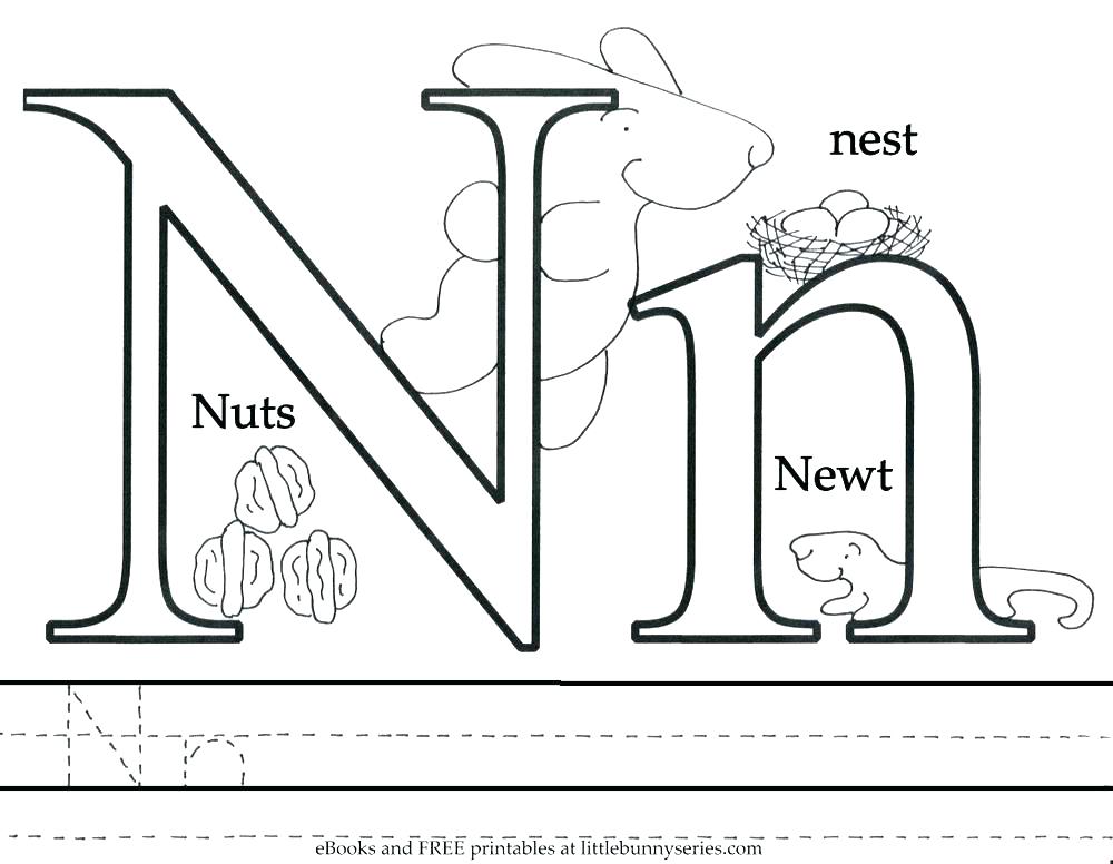1000x776 Newt Coloring Page Newt Coloring Page Letter N Coloring Pages