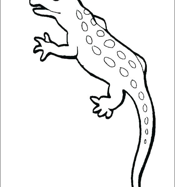 560x600 Newt Coloring Page Newt Coloring Pages Fancy Newt Coloring Page