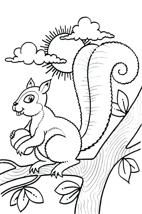 567x850 Scaredy Squirrel Coloring Sheet Printable Coloring Newt Coloring