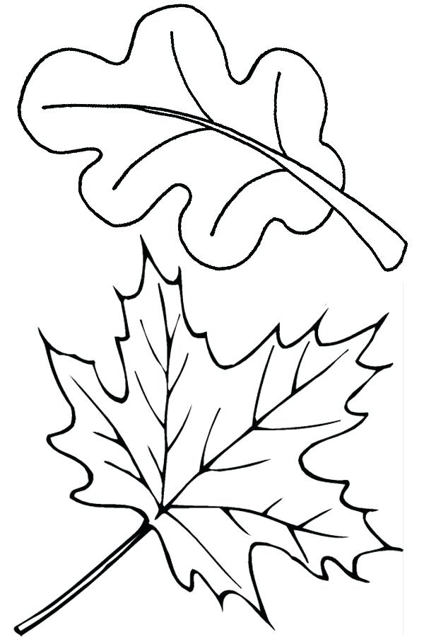 600x900 Niagara Falls Colouring Pages Autumn Coloring To Keep The Kids