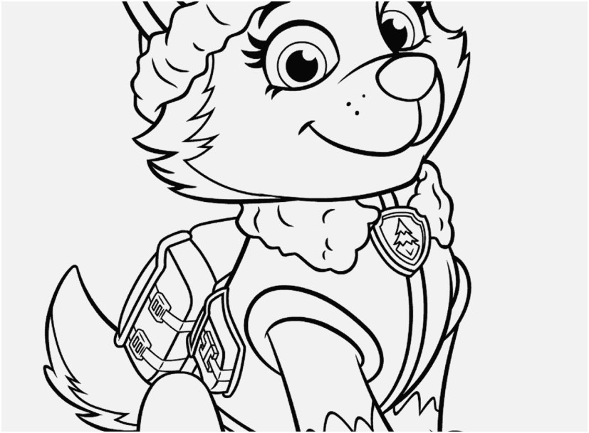 827x609 Nick Jr Coloring Pages Printable Display Paw Patrol Everest