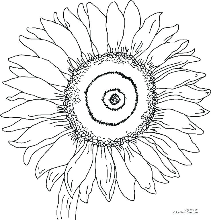 736x770 Summer Color Sheets For Preschool Kids Coloring And Coloring Pages
