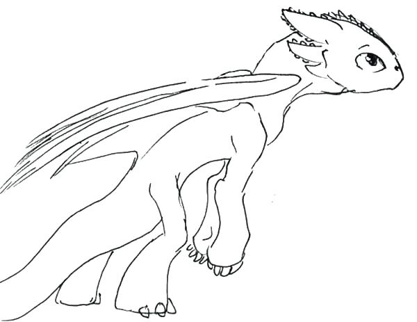 600x463 Night Fury Coloring Pages Coloriage Astrid Dragon 2