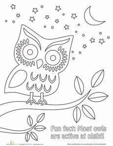 Night Time Coloring Pages