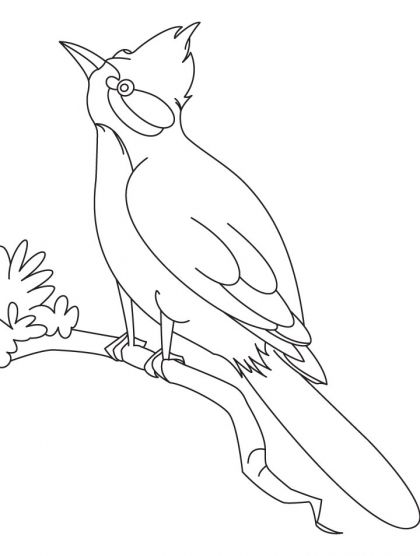 420x556 A Nightingale Bird Watching Coloring Page Download Free