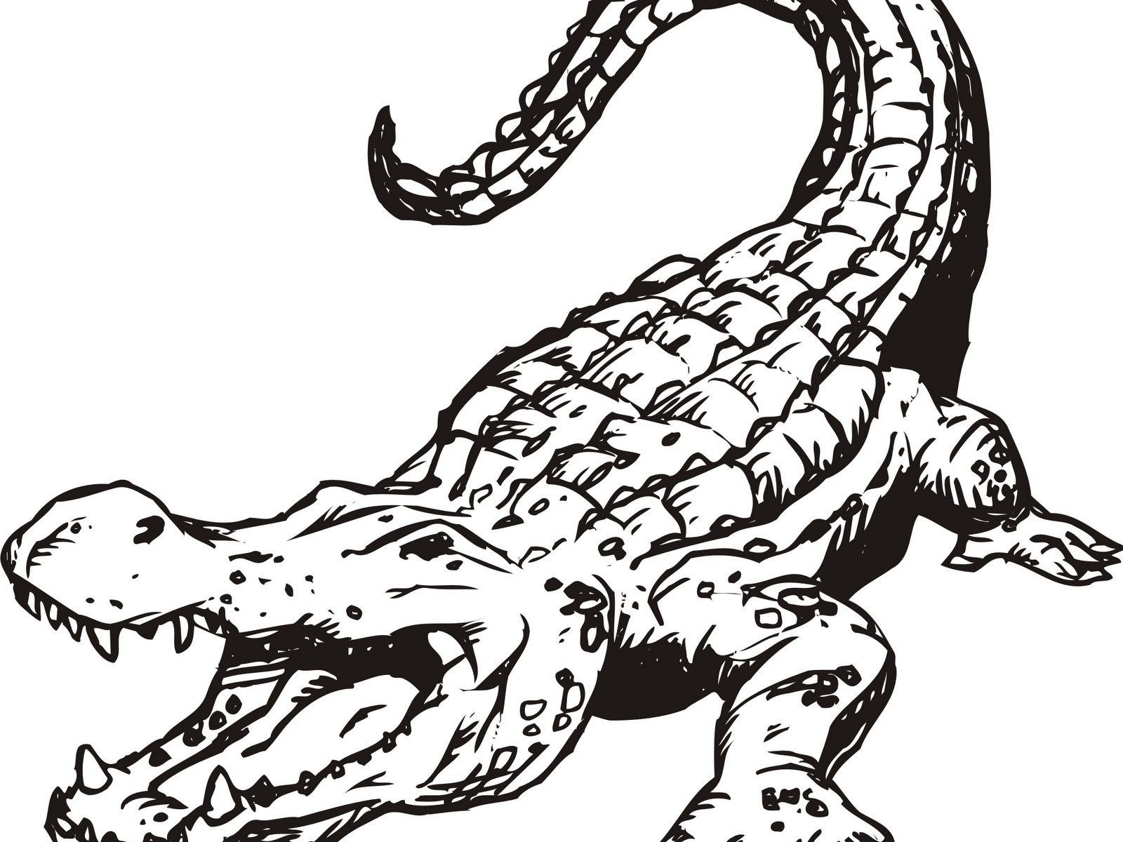 Nile Crocodile Coloring Page
