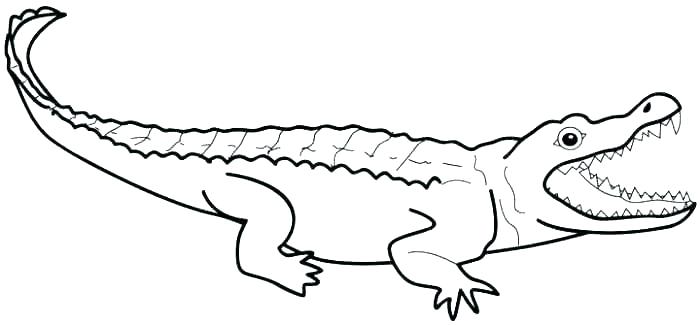 700x325 Crocodile Coloring Page Coloring Pages Animals Crocodile 8 Nile