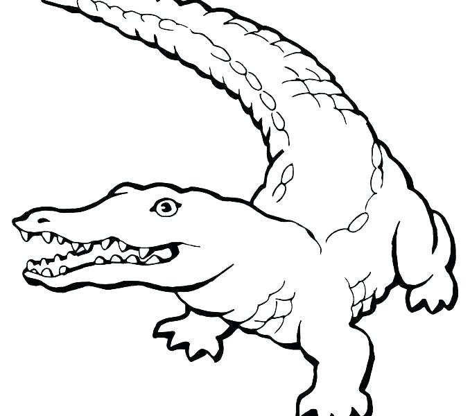 678x600 Crocodile Coloring Pages To Print Coloring Zoo Animal Coloring
