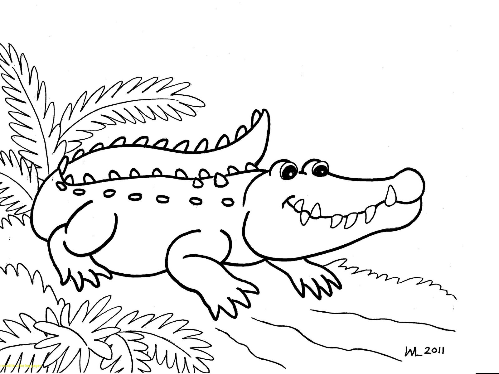 1600x1200 Drawn Crocodile Peter Pan Pencil And In Croc Coloring Pages