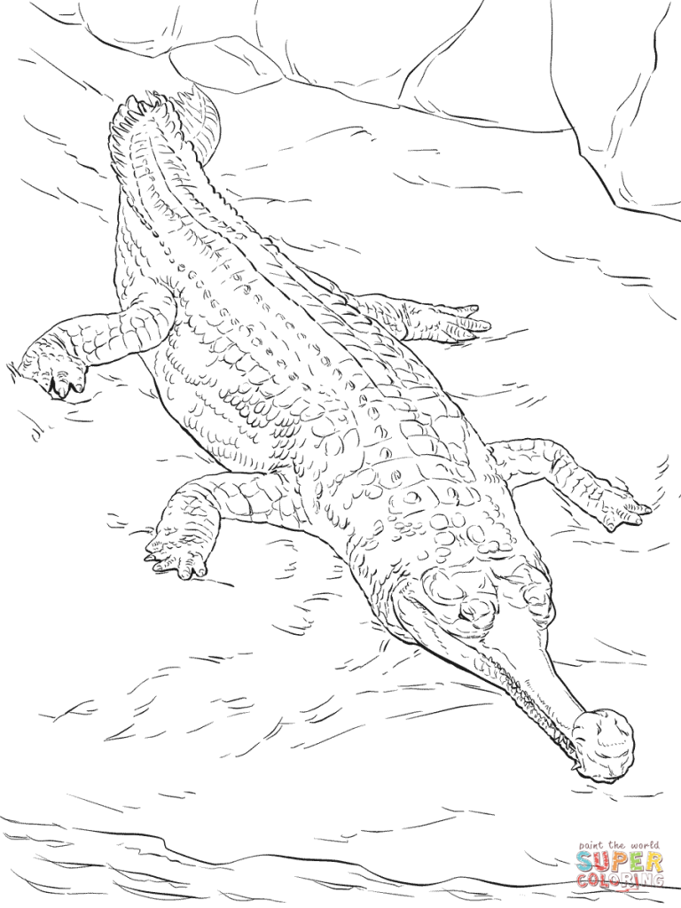 768x1024 Realistic Gavial For Coloring Pages
