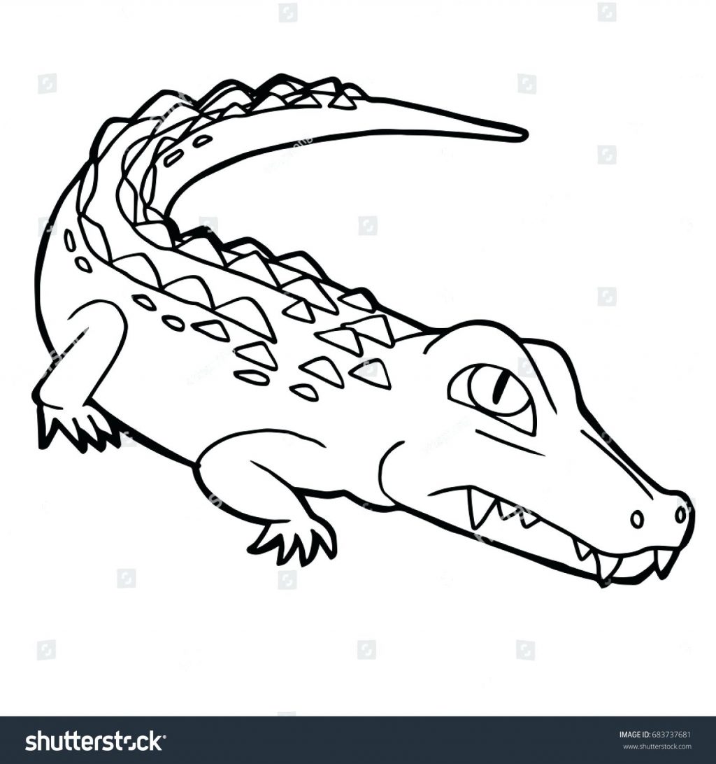 1024x1092 Coloring Page ~ Crocodile Coloring Page Cartoon Cute Vector