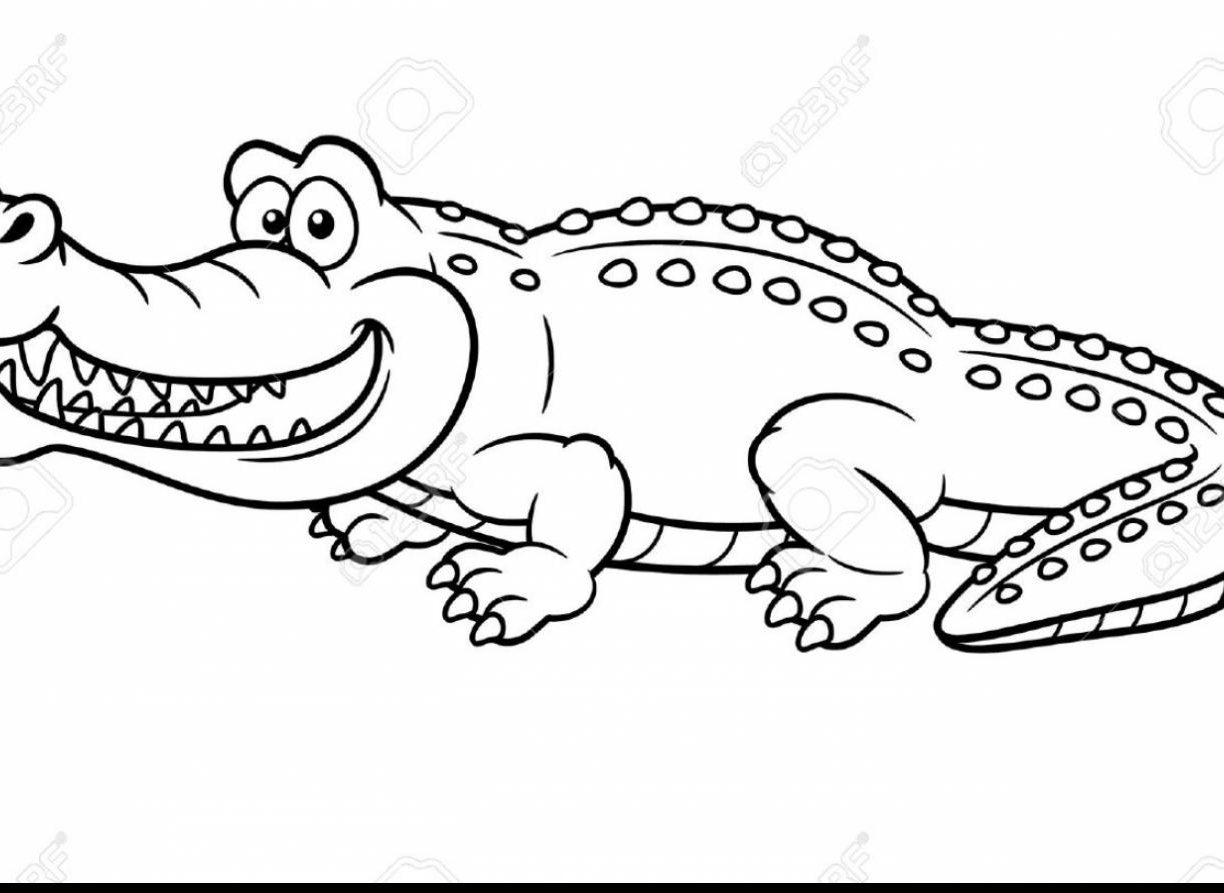 1224x893 Beautiful Saltwater Crocodile Coloring Pages Pictures