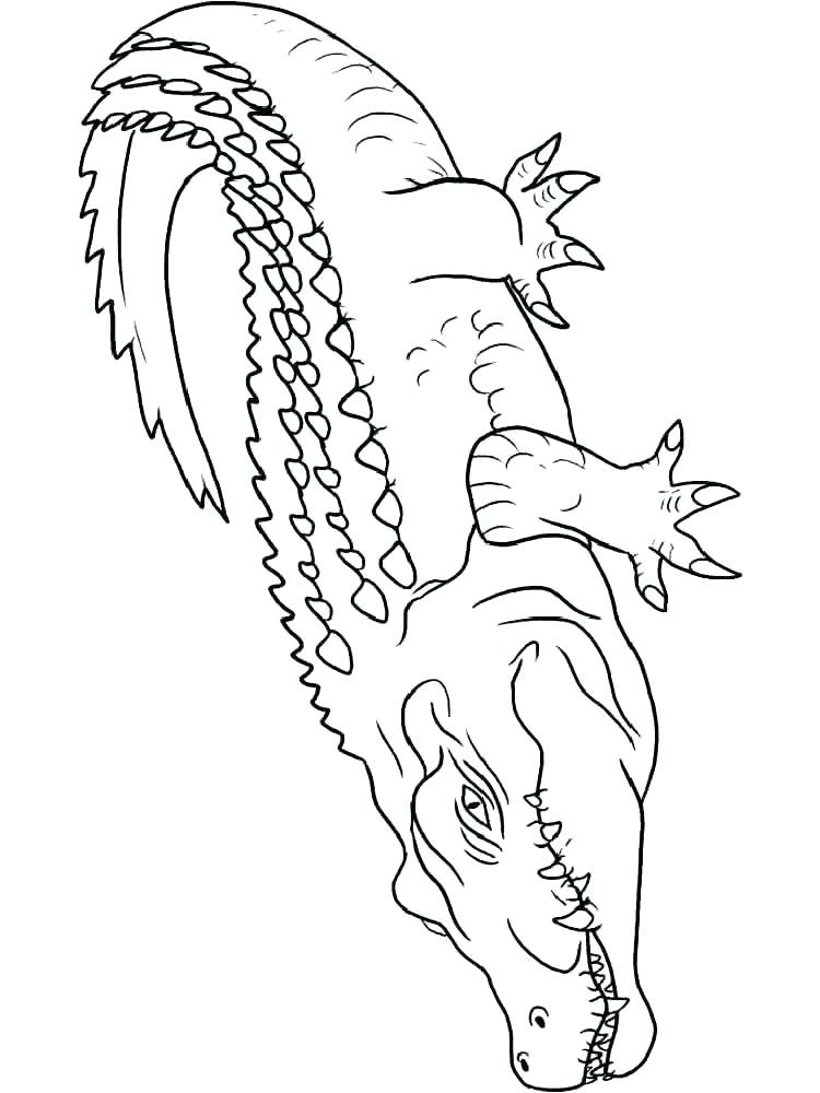 750x1000 Crocodile Coloring Page Coloring Page Alligator Crocodile Coloring