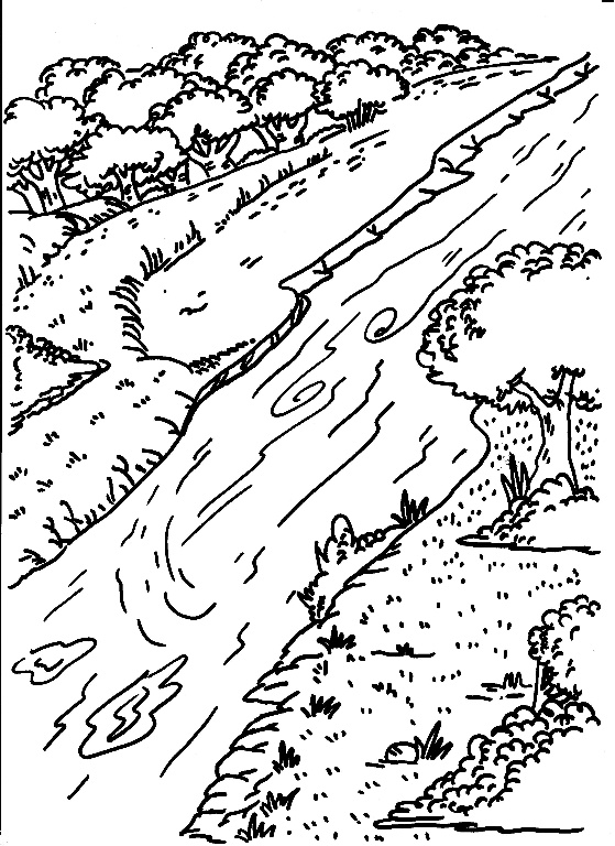 559x768 Rivers Coloring Pages For Free