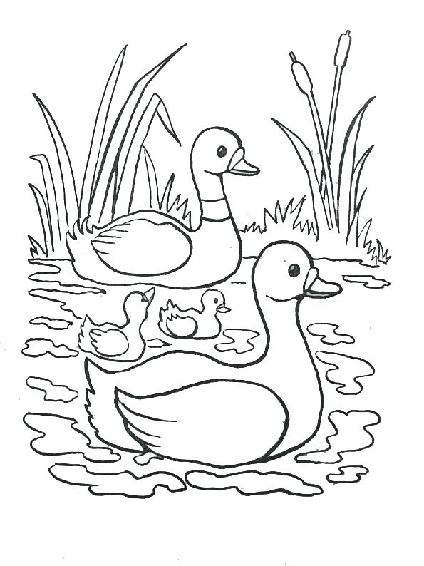 595x794 Coloring Page River Color By Number Pages Coloring Page Of A River