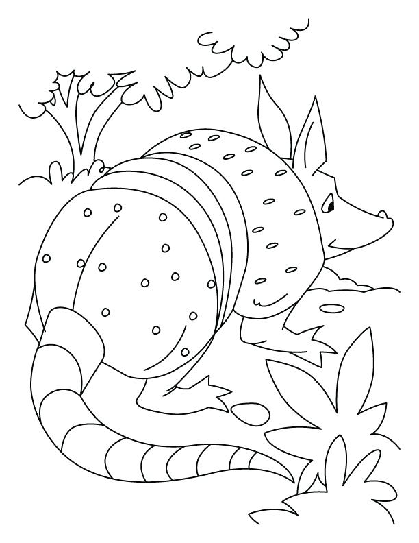 612x792 Armadillo Coloring Page Armadillo Playing Role Of Rat Coloring