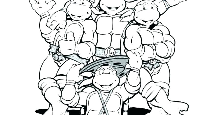860x450 Turtle Color Pages