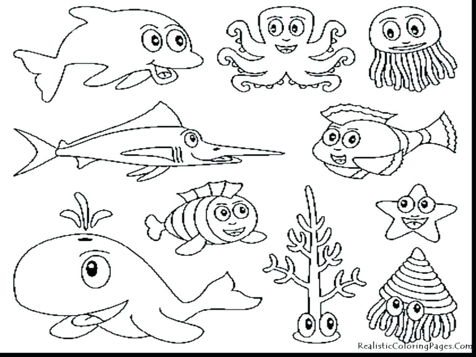 970x727 Ninja Turtle Coloring Pages For Toddlers Awesome Ocean Animal