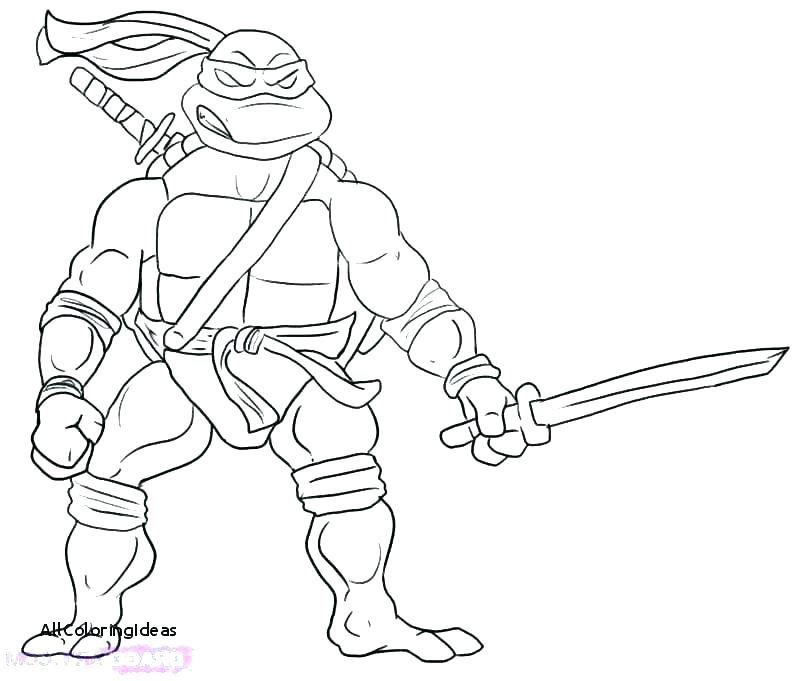 800x681 Michelangelo Ninja Turtle Color S S S Michelangelo Ninja Turtle