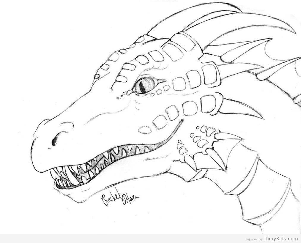 1013x818 New Ninjago Dragons Coloring Pages For Kids April 2014 And Picture